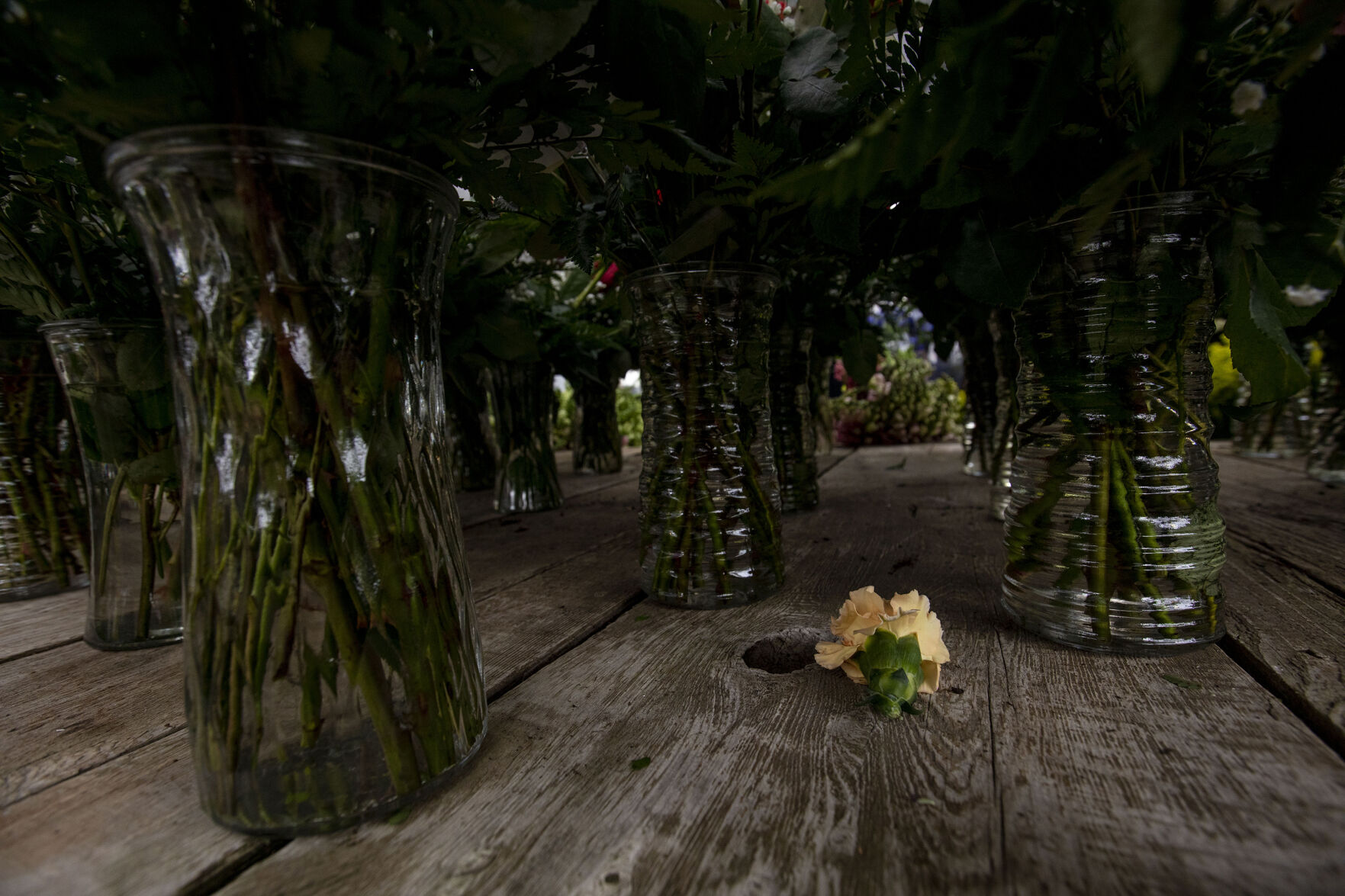 021321-news-vdayroses 13.jpg